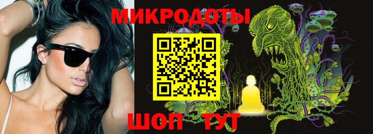 Псилоцибиновые грибы Psilocybe Киселёвск