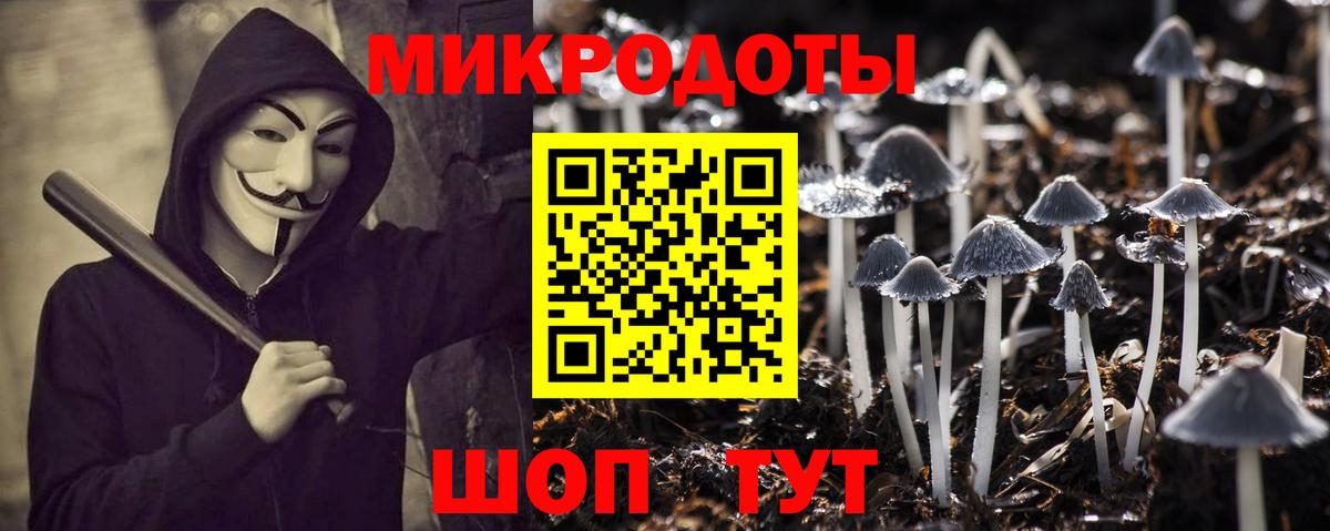 Киселёвск  Галлюциногенные грибы Psilocybe  Вход с VPN 